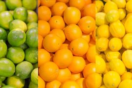 Sicurezza alimentare, Relazione al PNI 2017