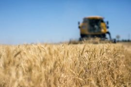 Inail, servizio telematico per la denuncia degli infortuni per il settore agricolo